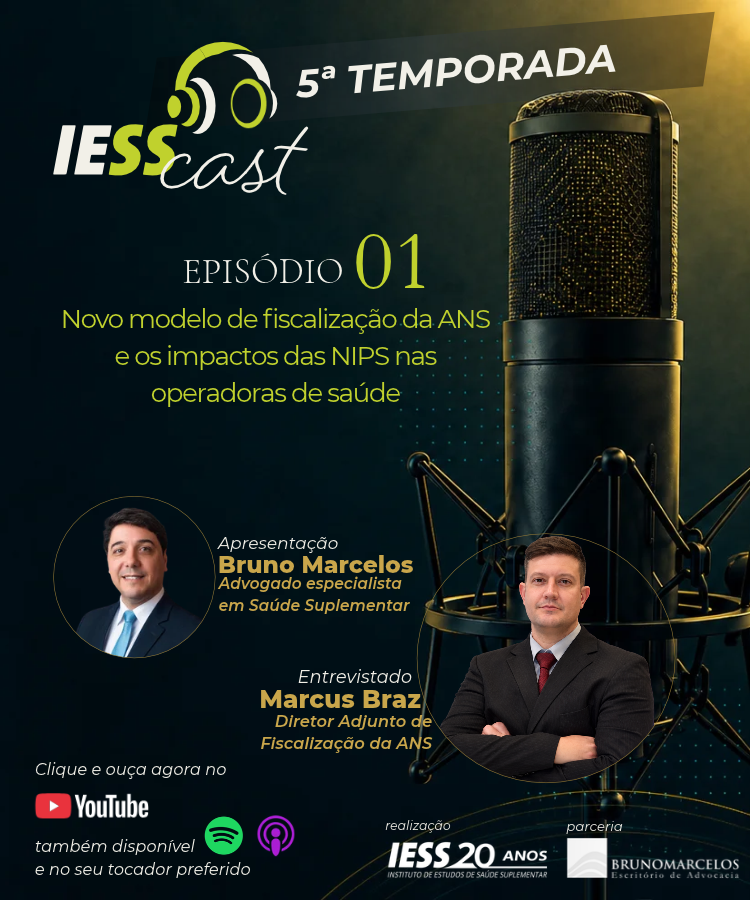 iess 13106 1