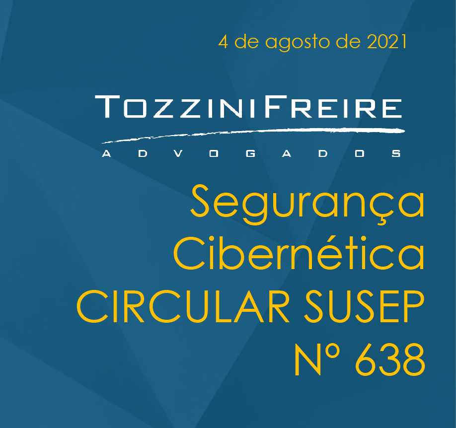 seguranca-cibernetica-610ad98424dd3-1