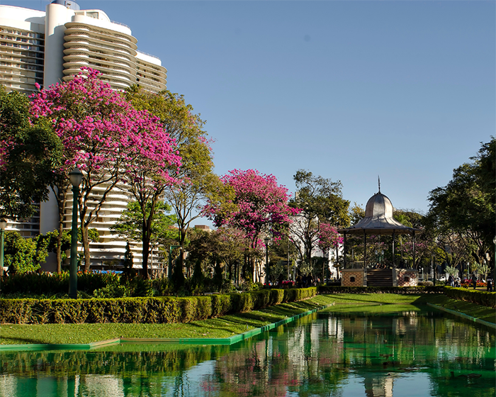Belo-Horizonte 010422