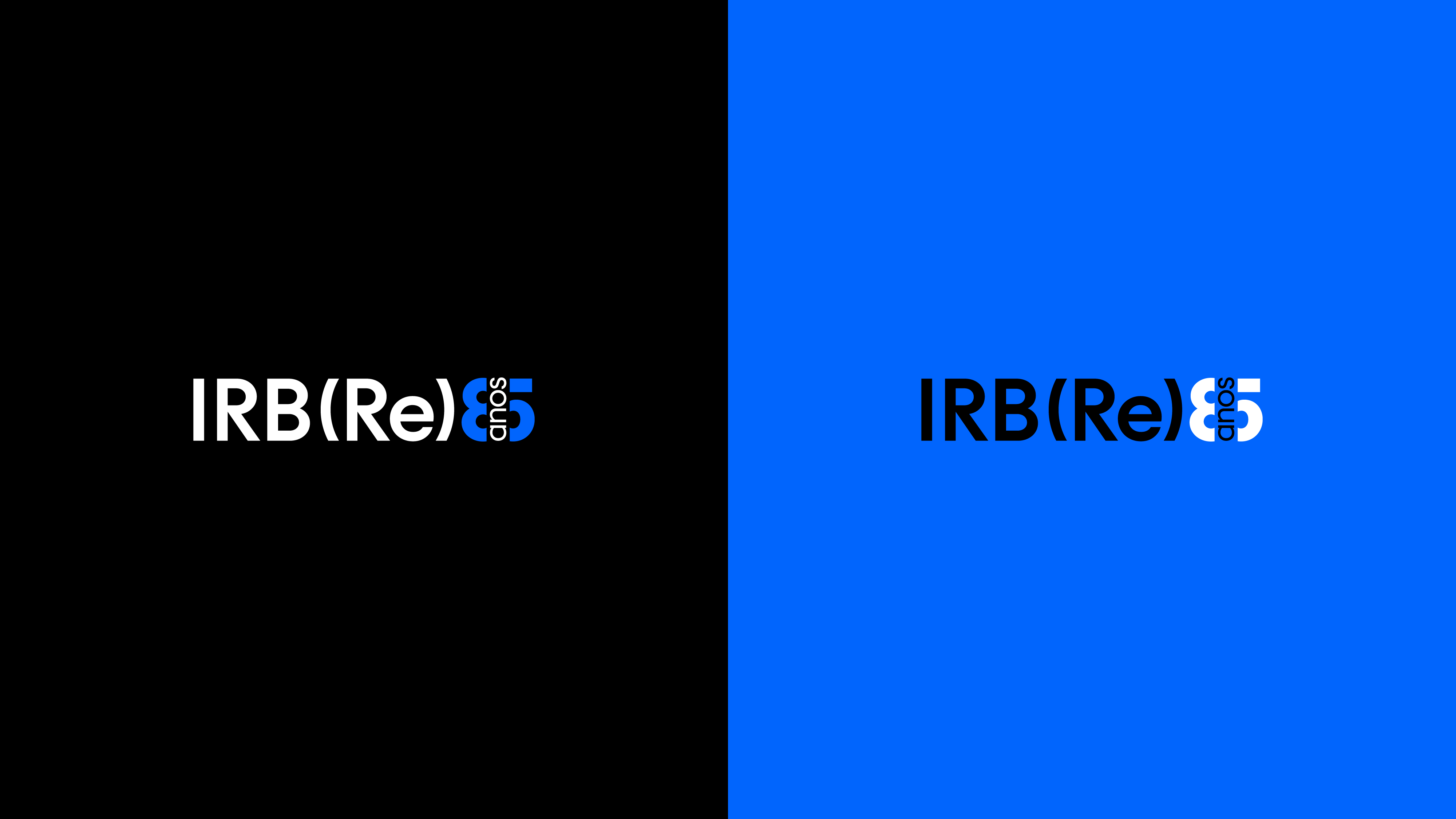 irb 04042024