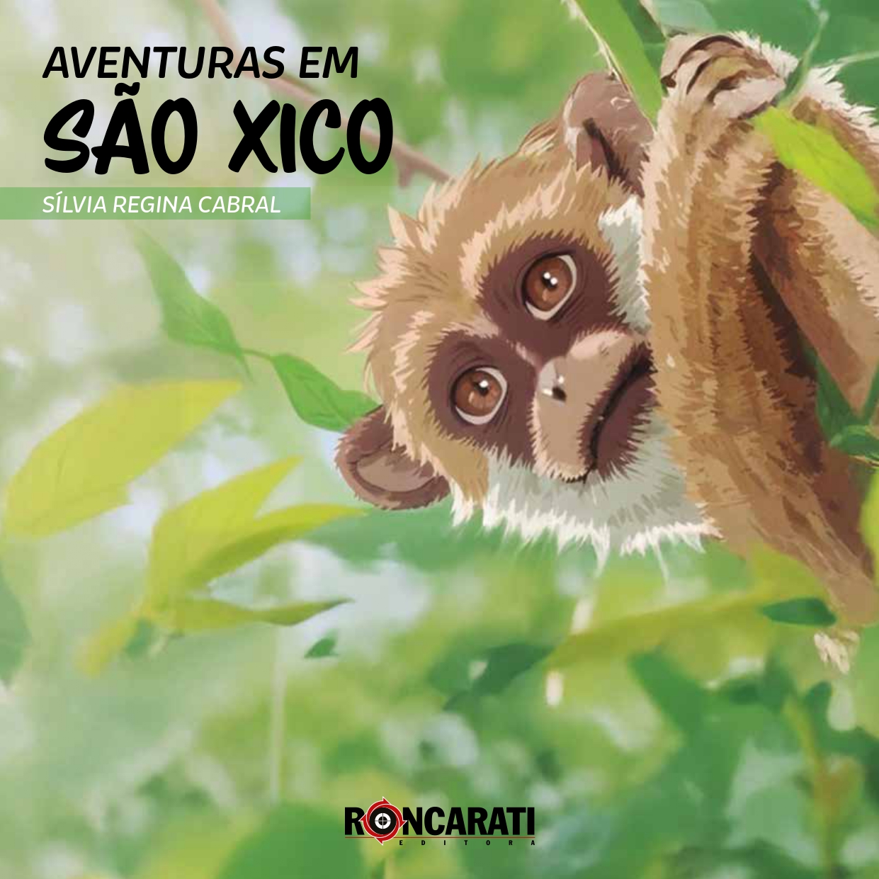 capa Aventuras em Sao Xico-site