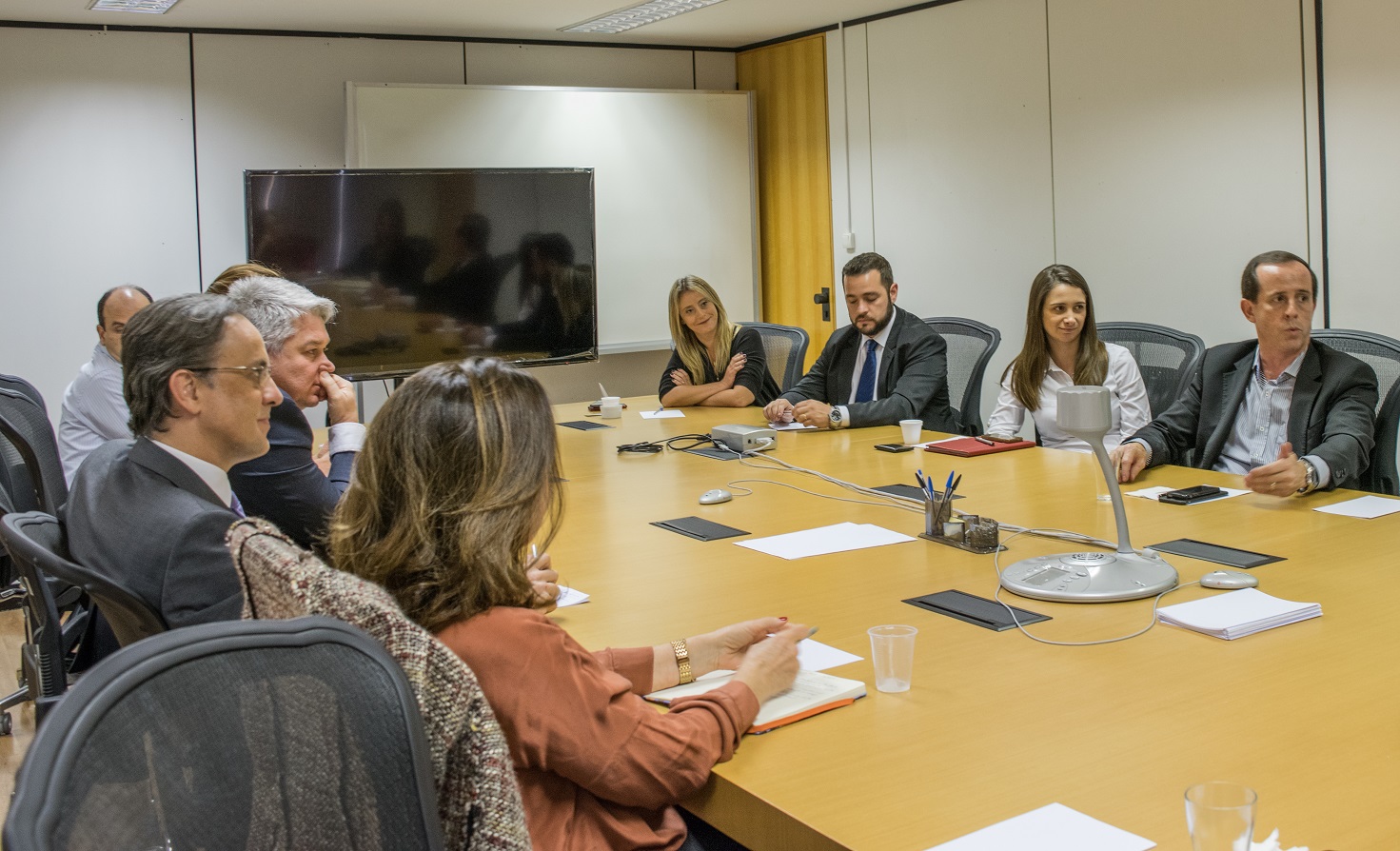 imagem ans 16082017 5