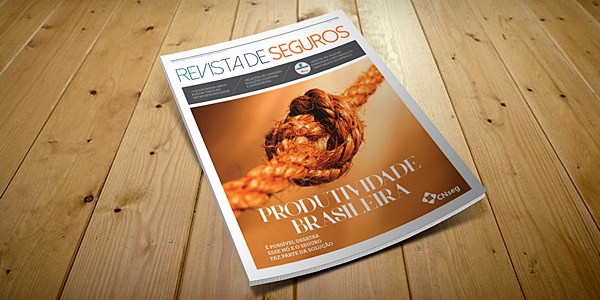 imagem cnseg 31102017 2