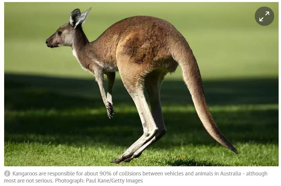 imagem galiza 01072017