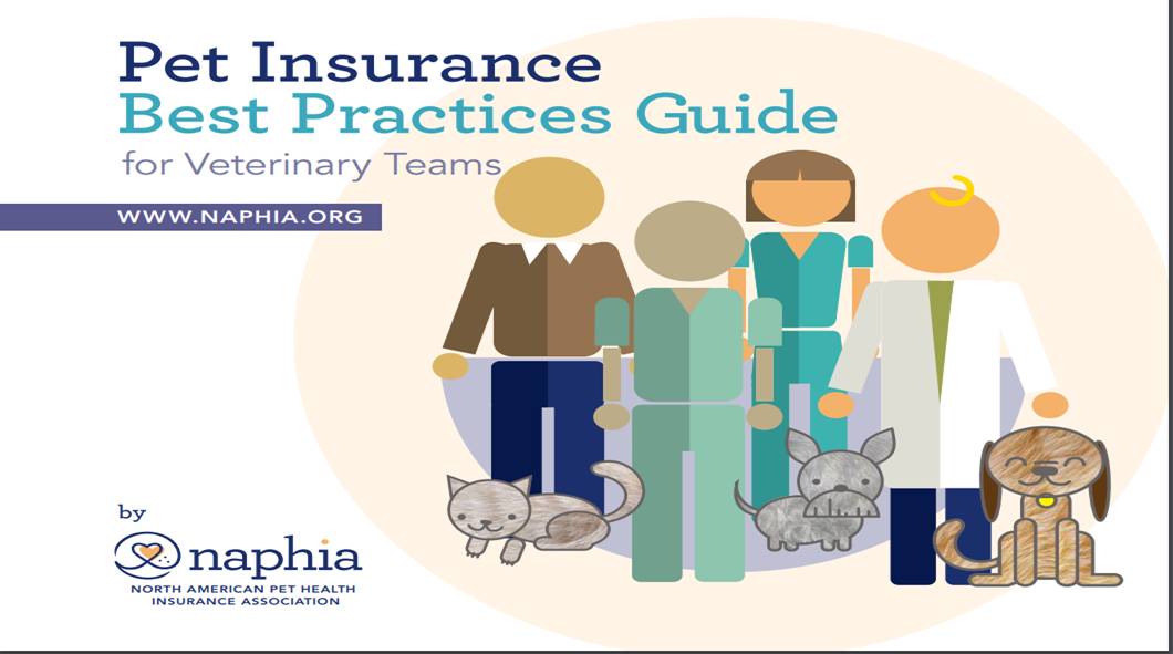 imagem galiza 26072017