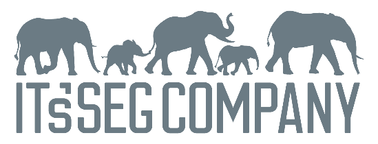 itssegcompany