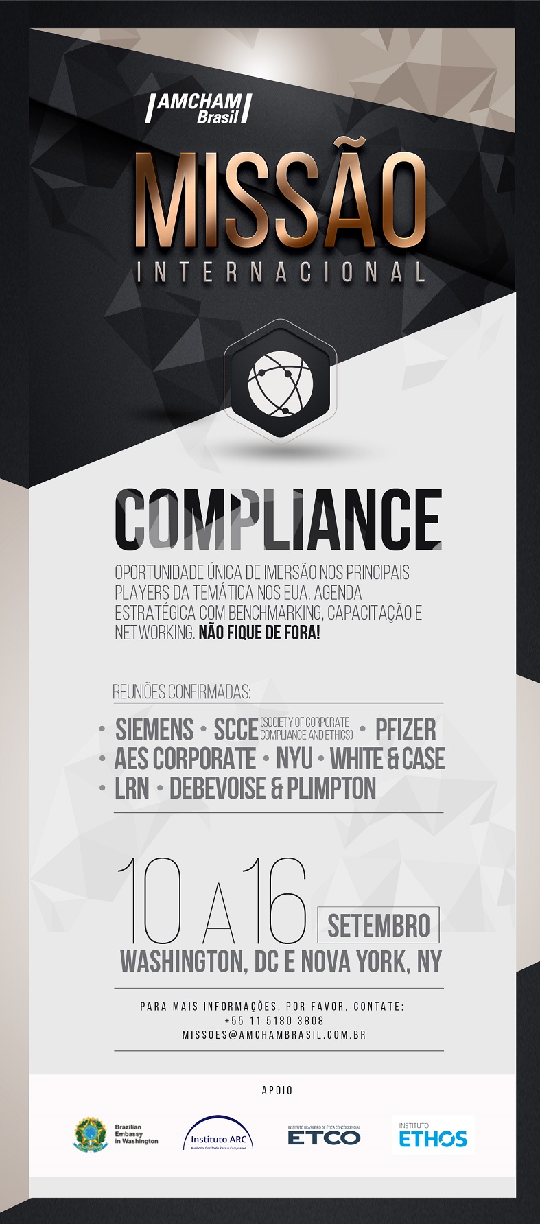 imagem amcham 08072016