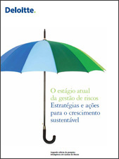 imagem gestao riscos