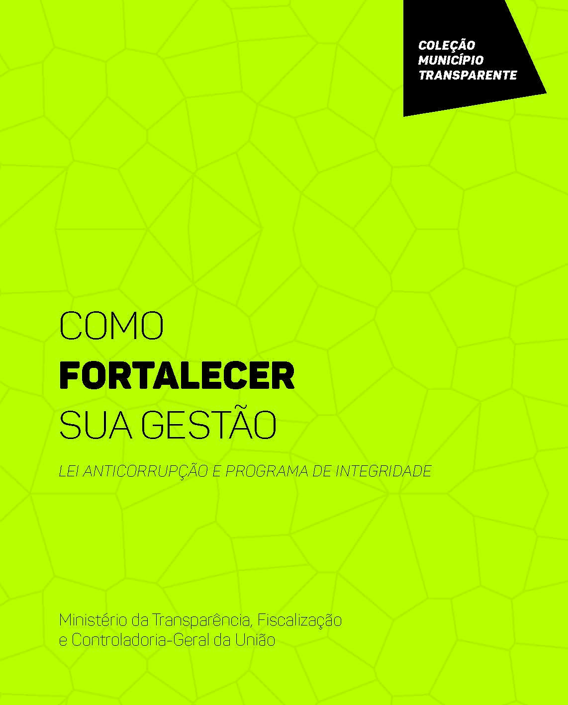 lei anticorrupcao como fortalecer gestao lei anti corrupcao programa integridade cgu